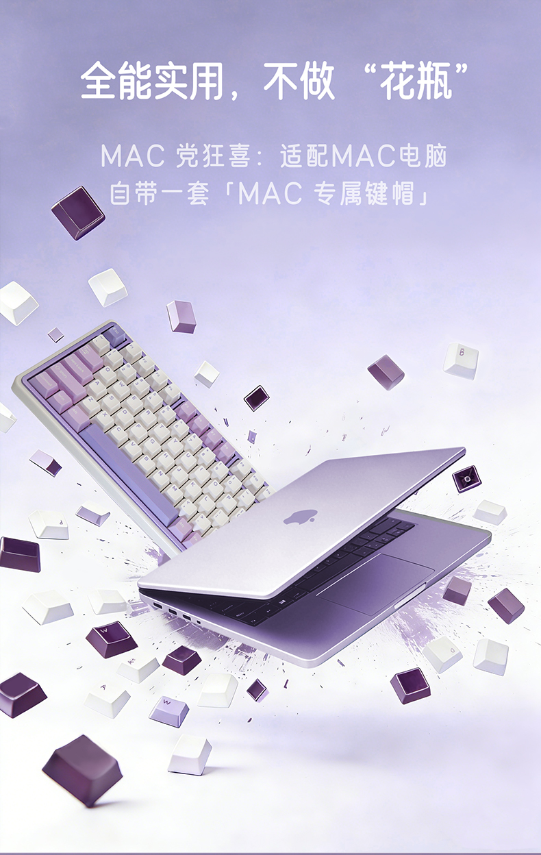 1767075763558b9ba7b21fae310ab0c765a7a2e675d54